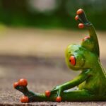 Fitness Tips: How to Boost Your Workout and See Real Results